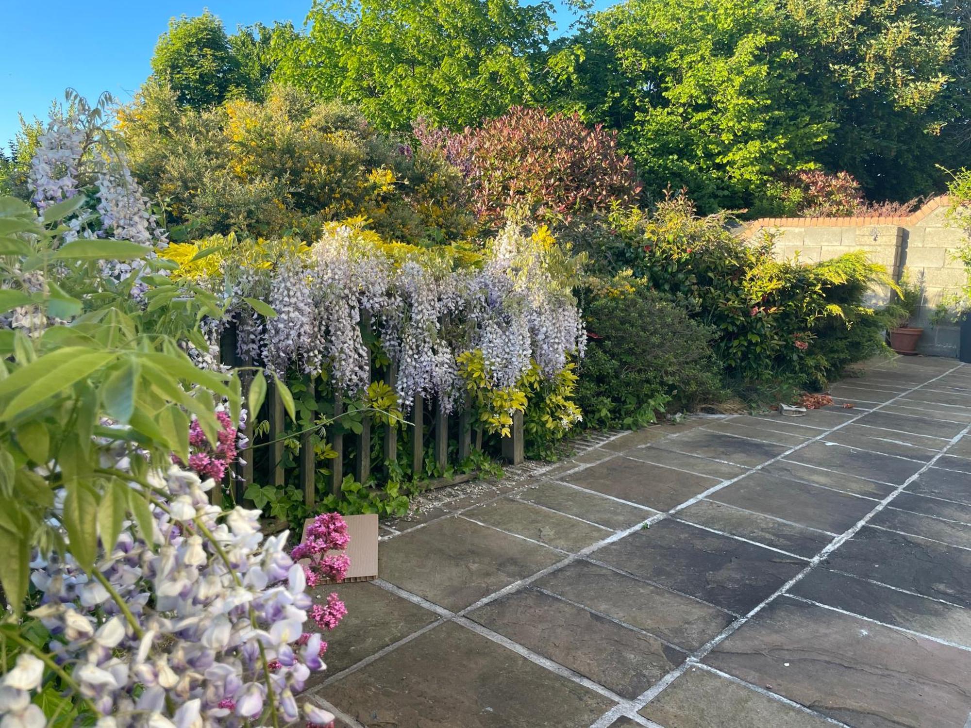 Peaceful With Garden & Creek - New Cozy Dublin