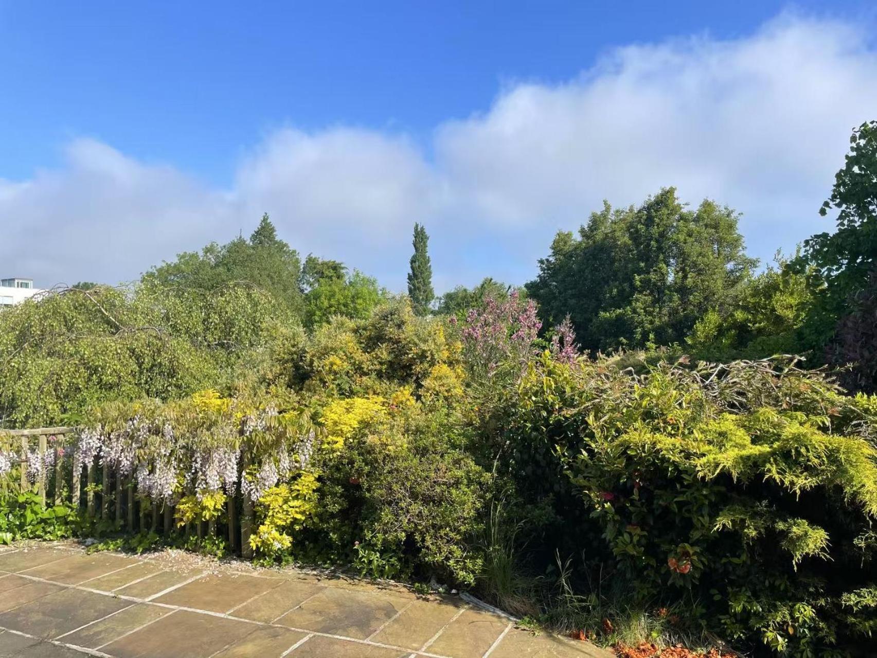 Homestay Peaceful With Garden & Creek - New Cozy Dublin